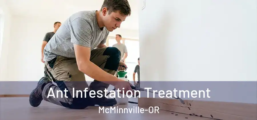  Ant Infestation Treatment McMinnville-OR