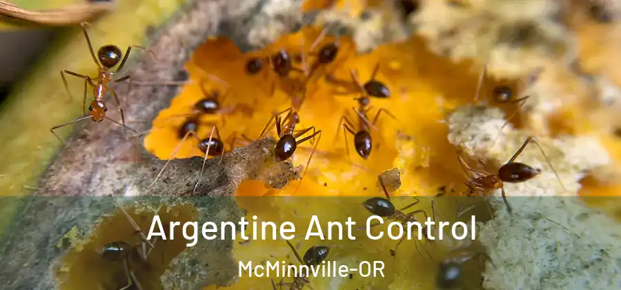  Argentine Ant Control McMinnville-OR