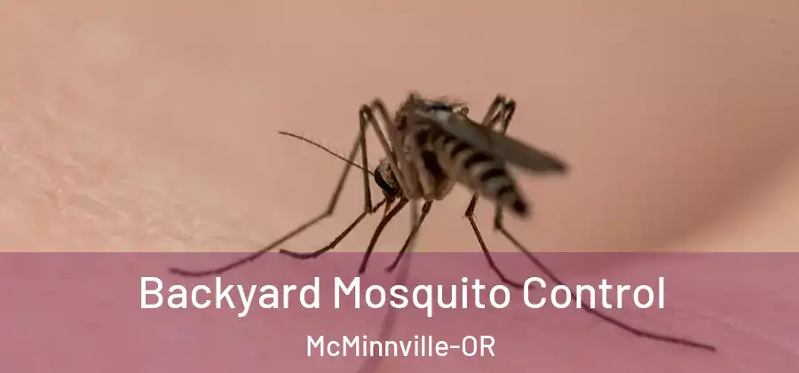 Backyard Mosquito Control McMinnville-OR