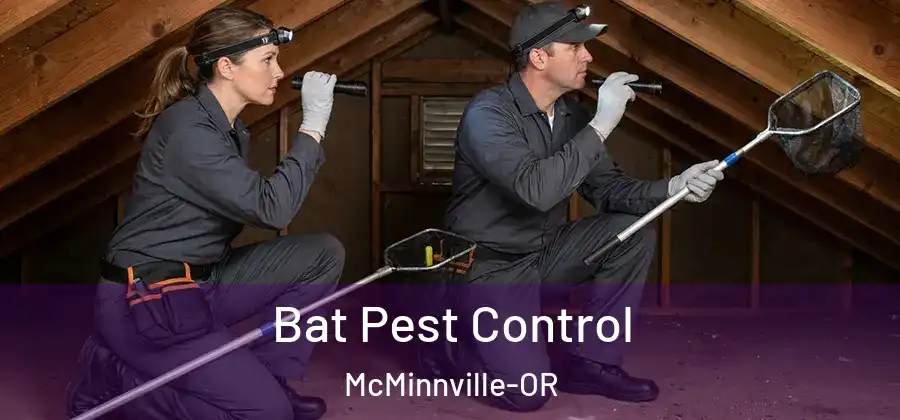 Bat Pest Control McMinnville-OR