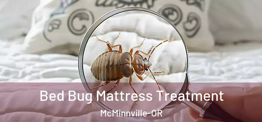  Bed Bug Mattress Treatment McMinnville-OR