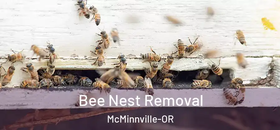 Bee Nest Removal McMinnville-OR