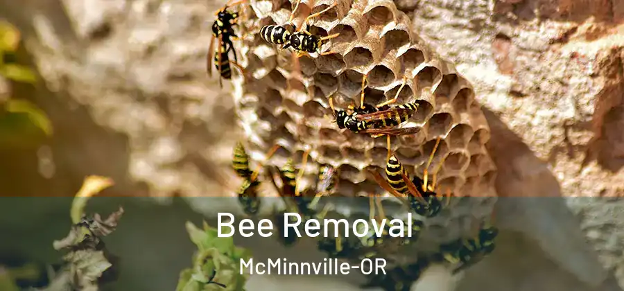  Bee Removal McMinnville-OR