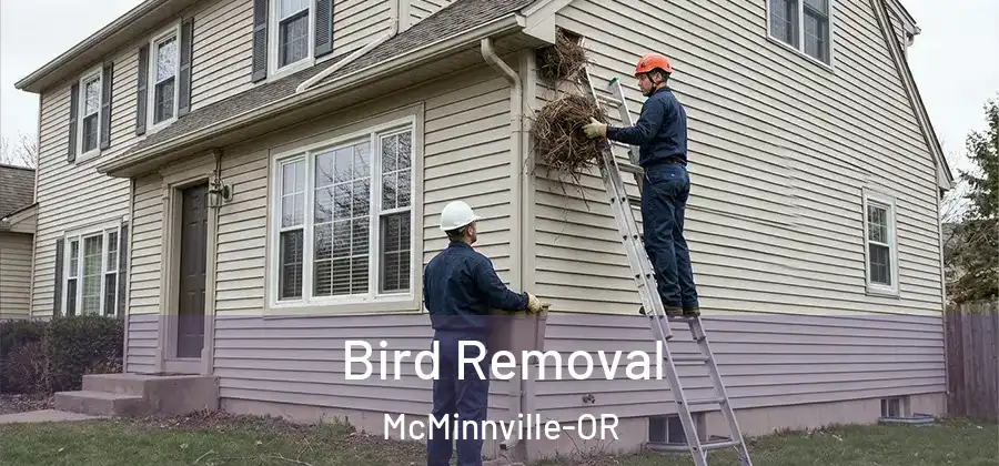Bird Removal McMinnville-OR