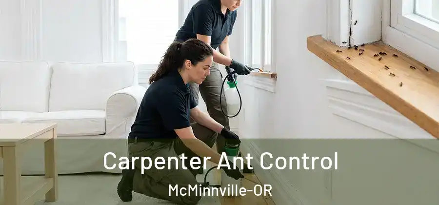 Carpenter Ant Control McMinnville-OR