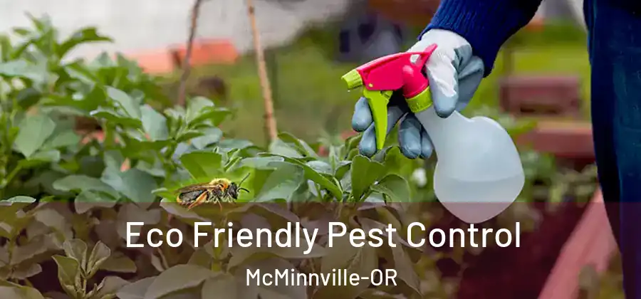 Eco Friendly Pest Control McMinnville-OR