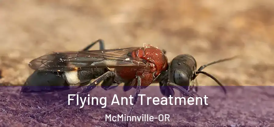  Flying Ant Treatment McMinnville-OR