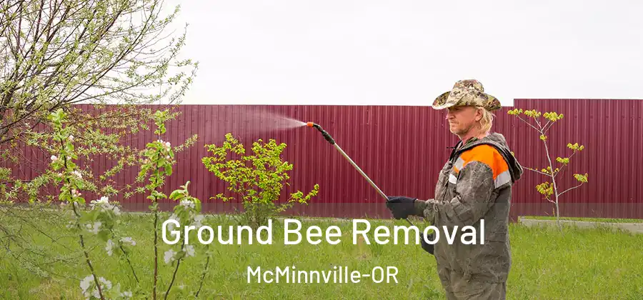Ground Bee Removal McMinnville-OR