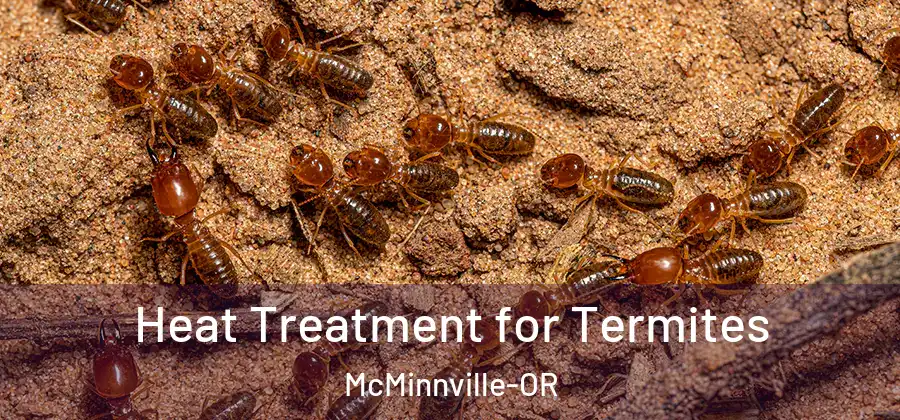 Heat Treatment for Termites McMinnville-OR