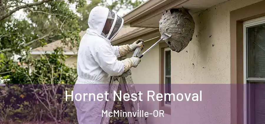 Hornet Nest Removal McMinnville-OR