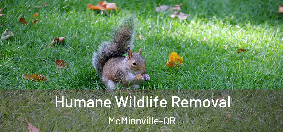  Humane Wildlife Removal McMinnville-OR