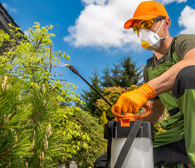 Your Best Bug Spray for Home Team in McMinnville, OR