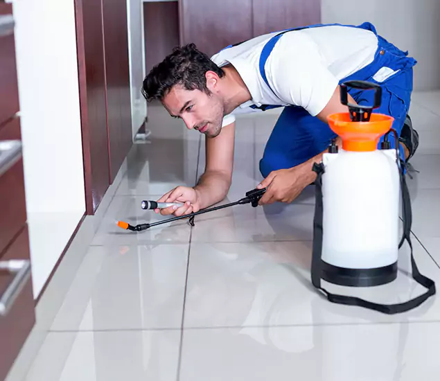 Reliable Professional Mouse Removal: Your Best Mouse Control Company in McMinnville, OR