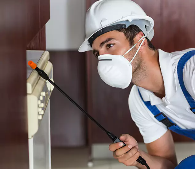 Expert Cockroach Exterminator: Your Roach Control Services in McMinnville, OR