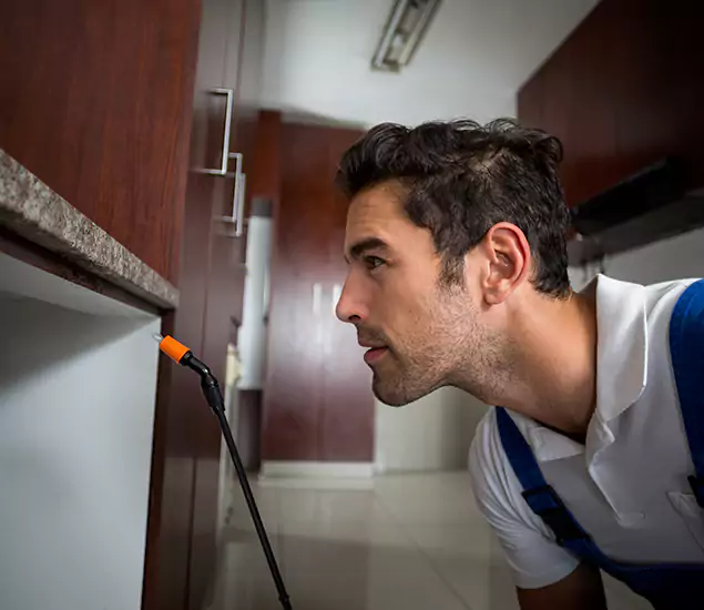 Termite Inspection Cost Experts You Can Trust in McMinnville, OR