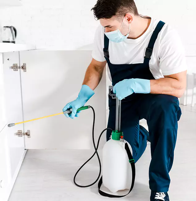 Why McMinnville, OR Homeowners Trust Us for German Roach Control?