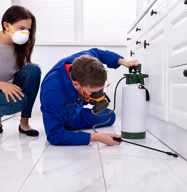 Why McMinnville, OR Homeowners Trust McMinnville Pest Control Pro for Roach Control?
