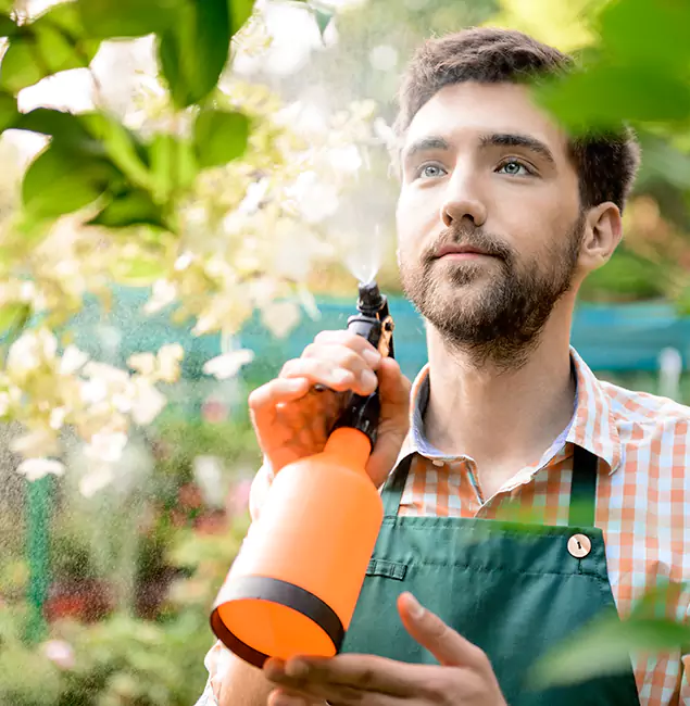 Why McMinnville Pest Control Pro Is the Best Mosquito Control Company in McMinnville, OR?