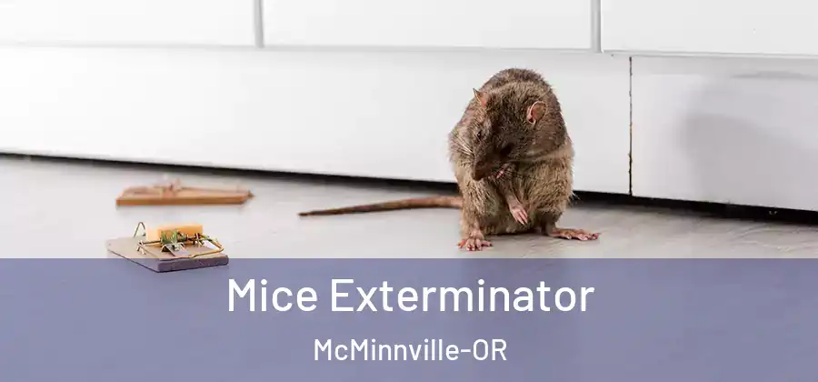 Mice Exterminator McMinnville-OR