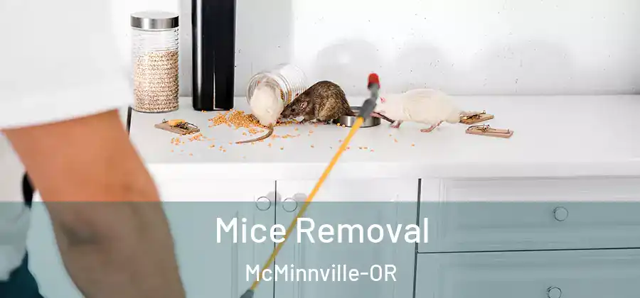 Mice Removal McMinnville-OR