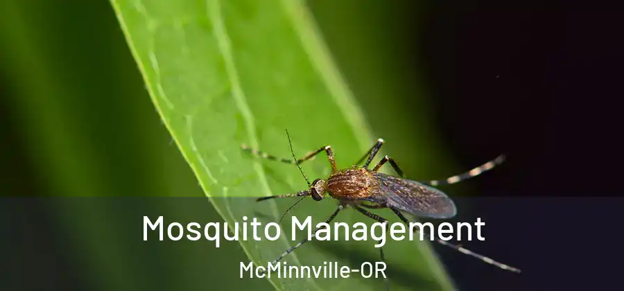 Mosquito Management McMinnville-OR