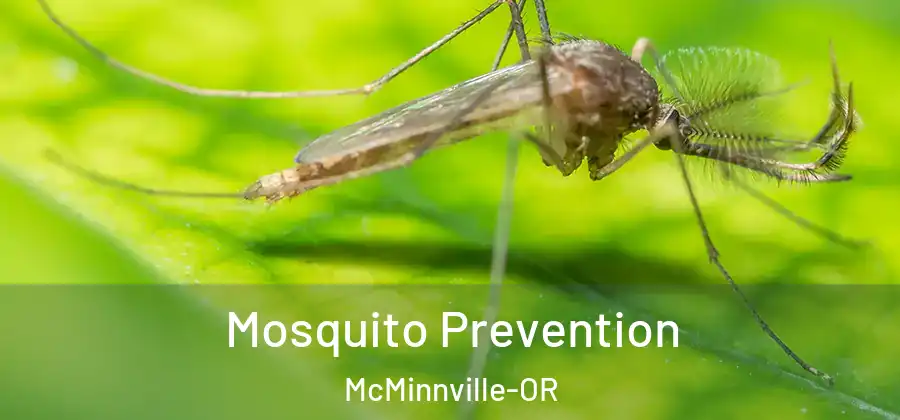 Mosquito Prevention McMinnville-OR