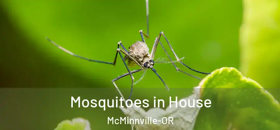 Mosquitoes in House McMinnville-OR