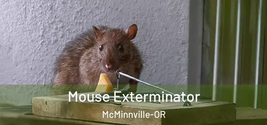 Mouse Exterminator McMinnville-OR