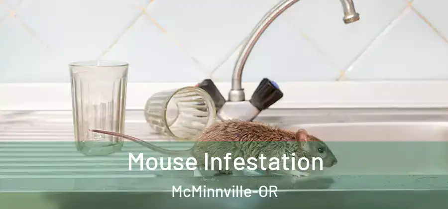 Mouse Infestation McMinnville-OR