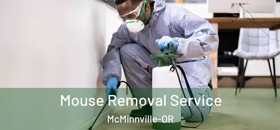 Mouse Removal Service McMinnville-OR