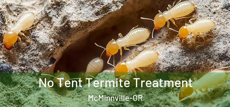 No Tent Termite Treatment McMinnville-OR