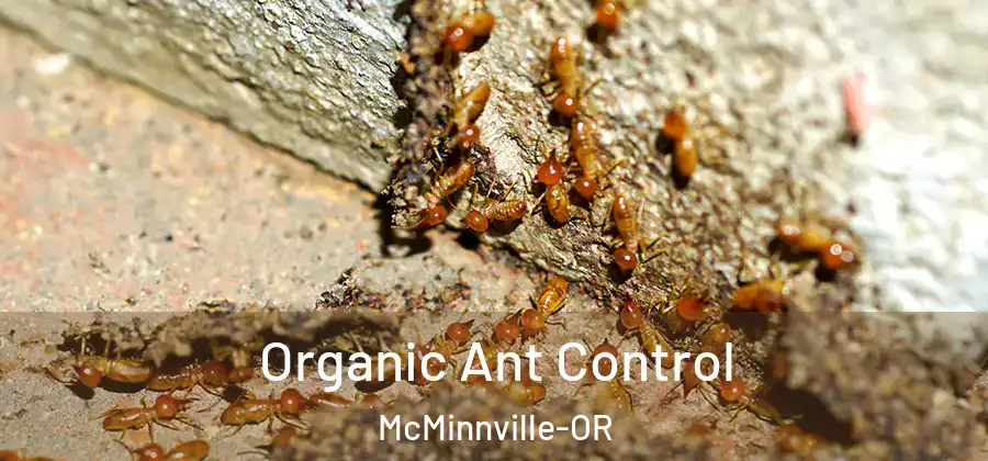  Organic Ant Control McMinnville-OR