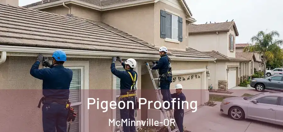 Pigeon Proofing McMinnville-OR
