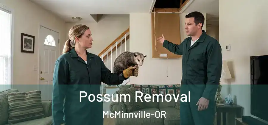 Possum Removal McMinnville-OR