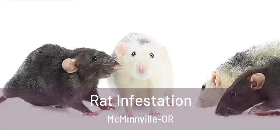  Rat Infestation McMinnville-OR