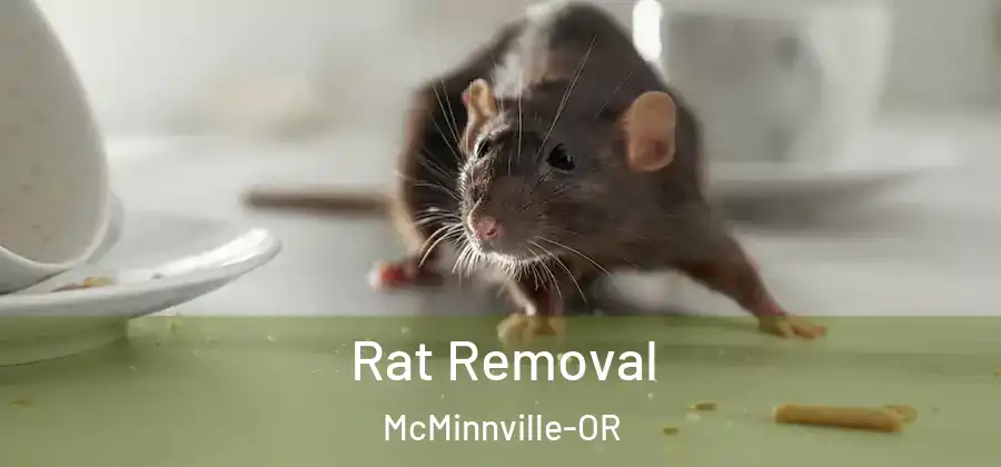 Rat Removal McMinnville-OR