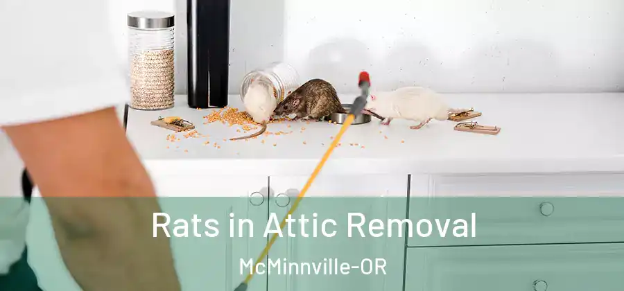 Rats in Attic Removal McMinnville-OR
