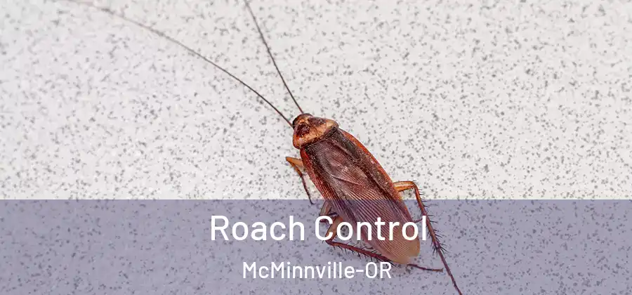 Roach Control McMinnville-OR