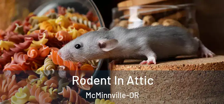  Rodent In Attic McMinnville-OR