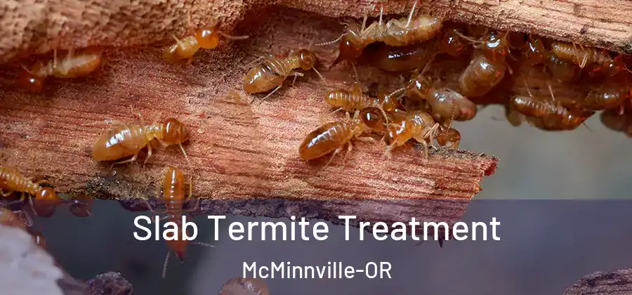Slab Termite Treatment McMinnville-OR