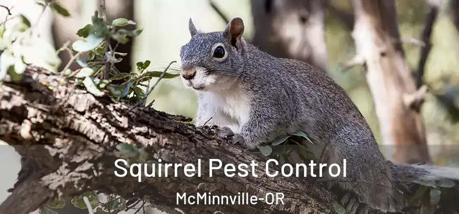 Squirrel Pest Control McMinnville-OR