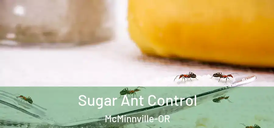  Sugar Ant Control McMinnville-OR