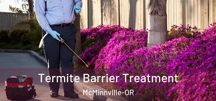  Termite Barrier Treatment McMinnville-OR