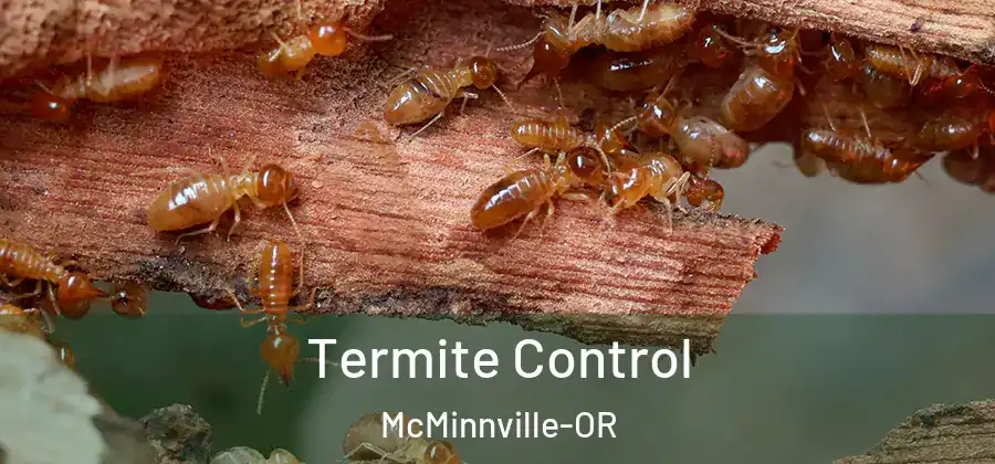 Termite Control McMinnville-OR