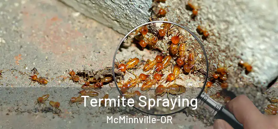 Termite Spraying McMinnville-OR