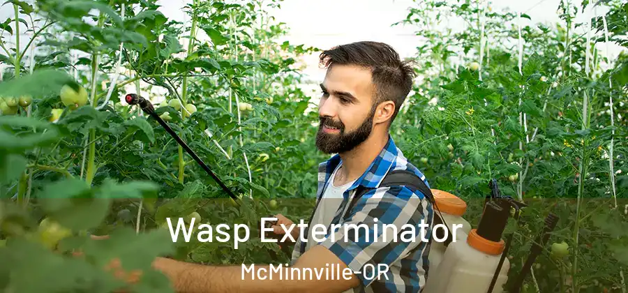 Wasp Exterminator McMinnville-OR