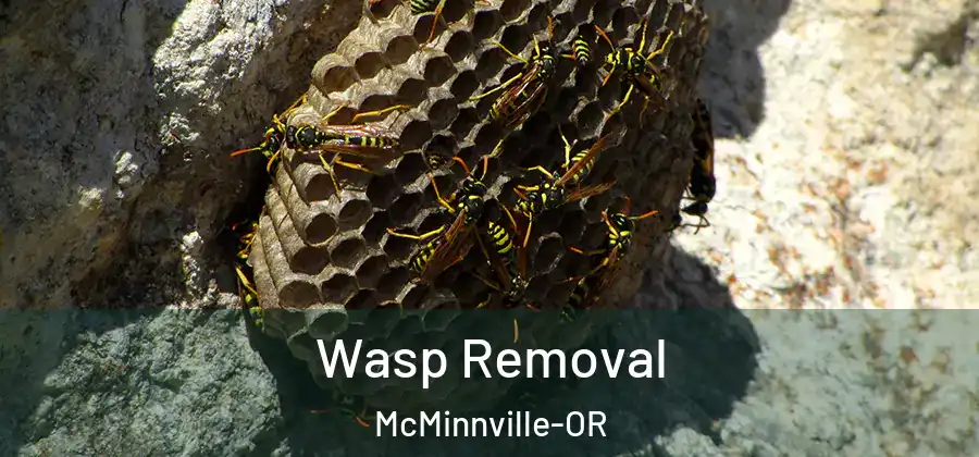 Wasp Removal McMinnville-OR