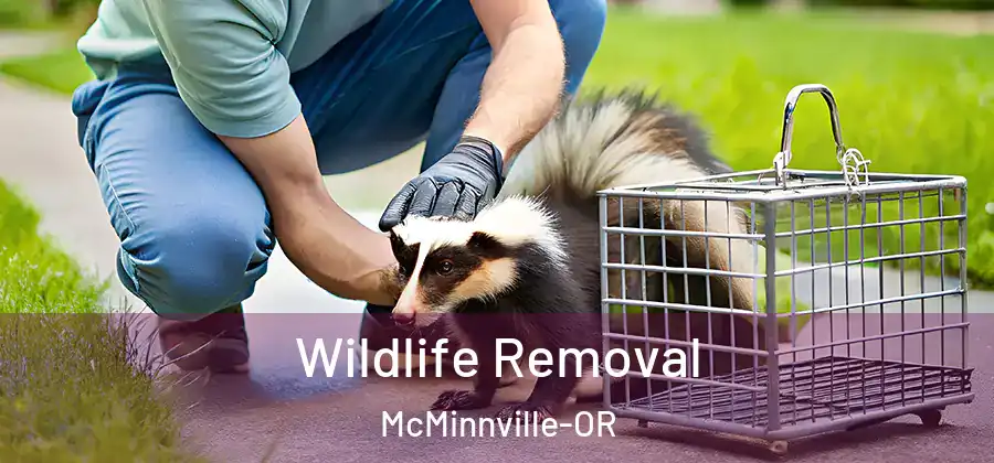 Wildlife Removal McMinnville-OR