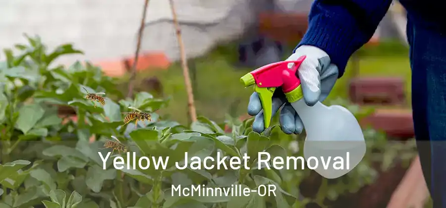  Yellow Jacket Removal McMinnville-OR